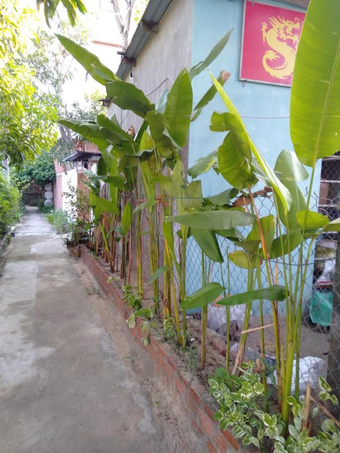Pink Beach Homestay Hoi An Esterno foto